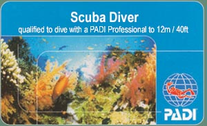 PADI Tauchkurs - Scuba Diver